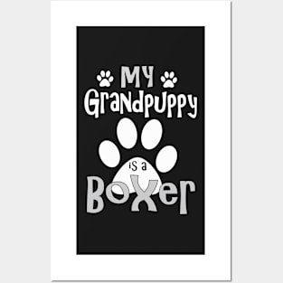 Dog Gifts and Ideas - Grandpuppy is a Boxer Posters and Art